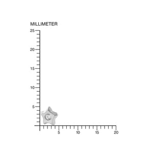 Pendientes Niña Oro Blanco de Estrella concava con circonita