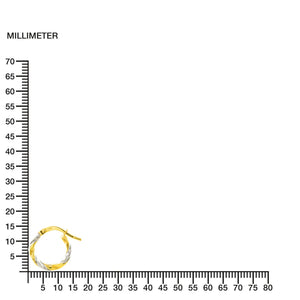 Pendientes aros bicolor dobles 14 (10)x3 mm