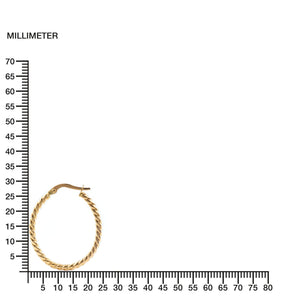 Pendientes Oro Aros reliados Ovales 30x2 mm (9kts)
